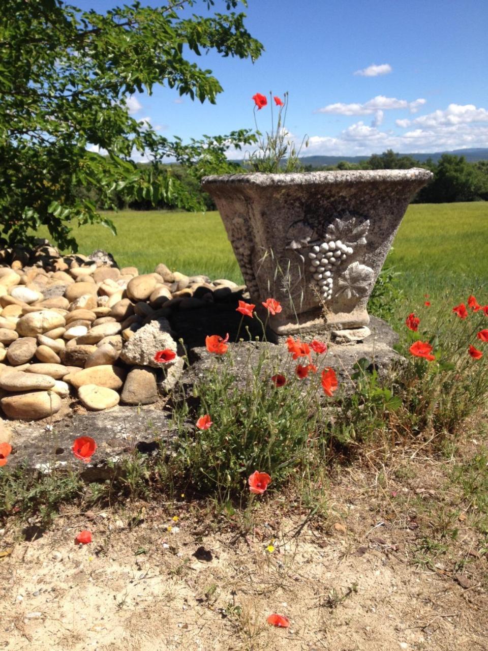 فيلا La Salamandre Bleue Chantemerle-lès-Grignan المظهر الخارجي الصورة
